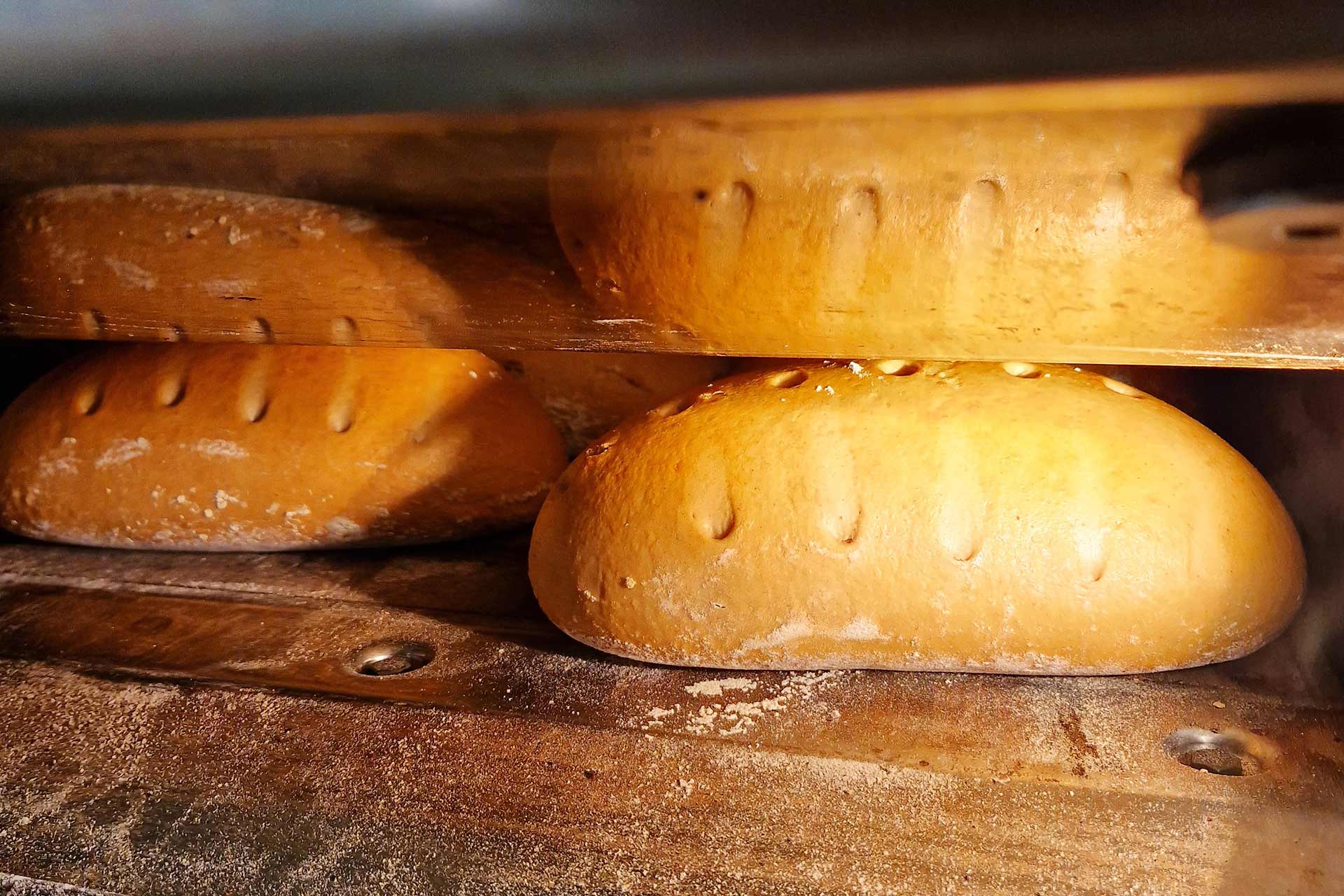 Bäckerei und Konditorei Dominik Selnack - Brote